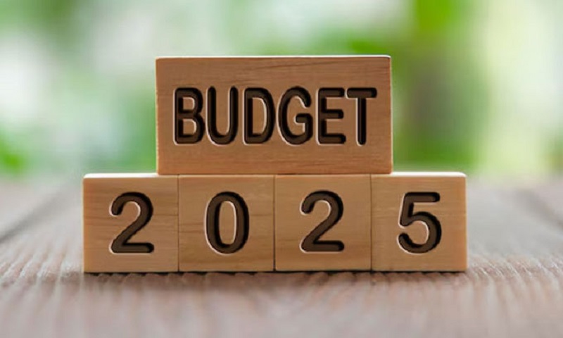 BUDGET-2025-DailyCeylon