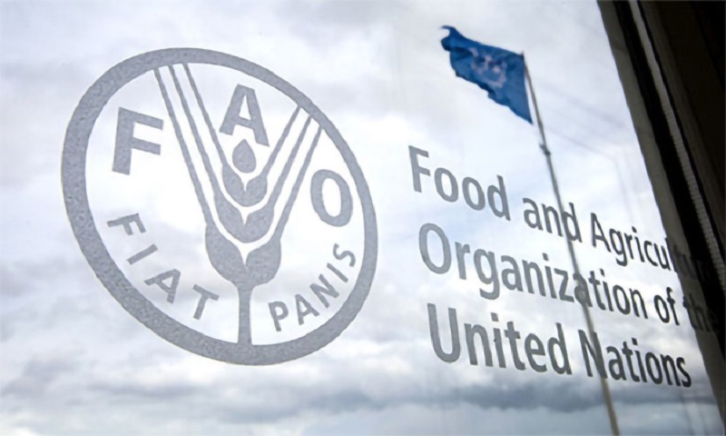 Food-and-Agriculture-Organization-of-the-United-Nations
