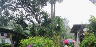 கொட்டக்கலை பகுதியில் வெள்ளம்; மக்கள் பாதிப்பு