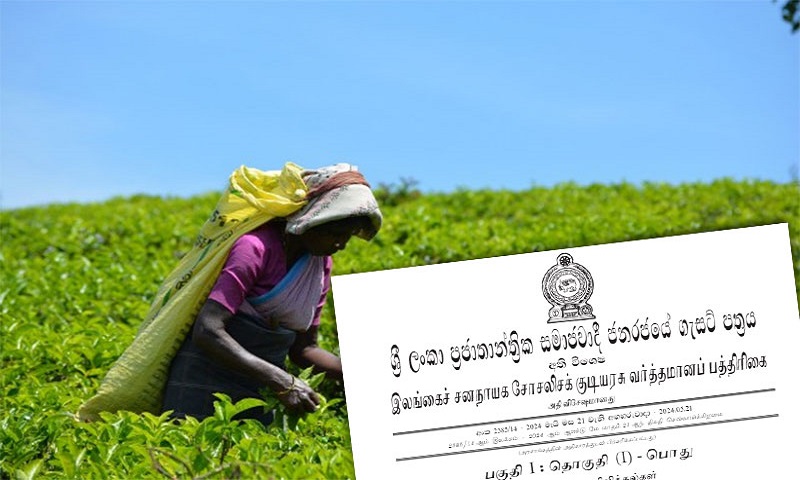 Plantation-Workers-Salary-1-