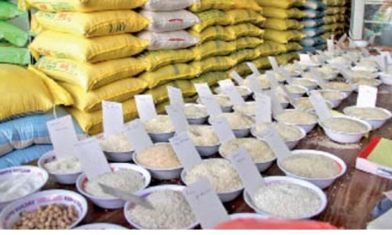 Rice_1200x675px_01_07_25-1-1000x600