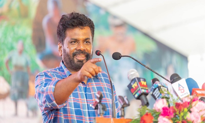 அரிசியை, பிஸ்கட்,பியர் உள்ளிட்ட உற்பத்திகளில் பயன்படுத்த திட்டம்