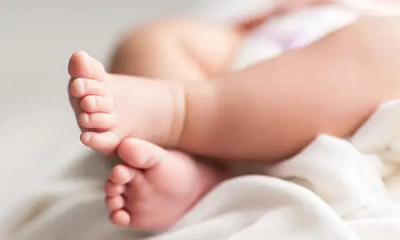 baby (1)