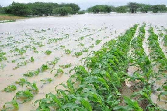compensation to farmers