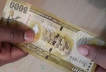 கொலன்னாவை இளைஞரிடம் போலி நாணயத்தாள்; பொலிஸார் கைது