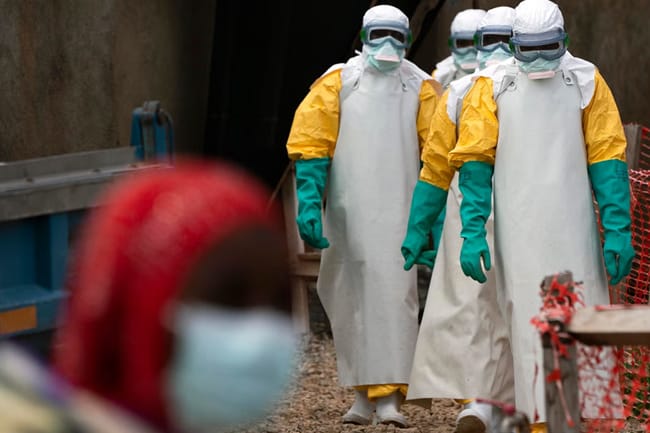 ebola virus