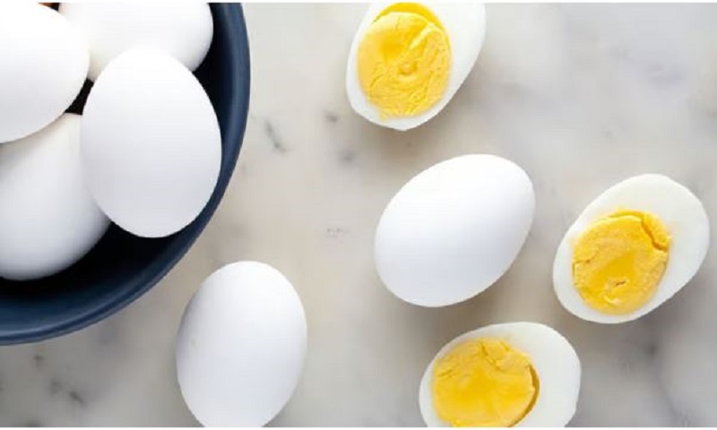 egg1