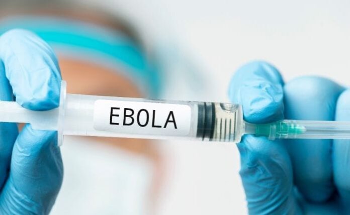 ibola