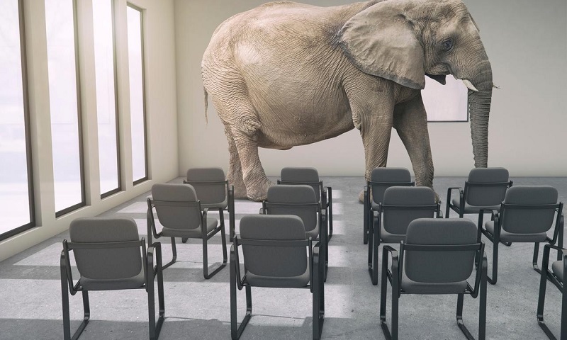pFxLQX3zTGan4aVLLHs6_Elephant_in_The_Room