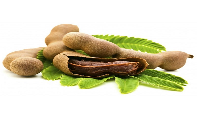 tamarindus-indica-tamarind-seeds-long-living