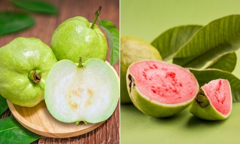 the-differences-between-pink-and-white-guavas-1604058549
