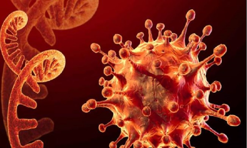 virus