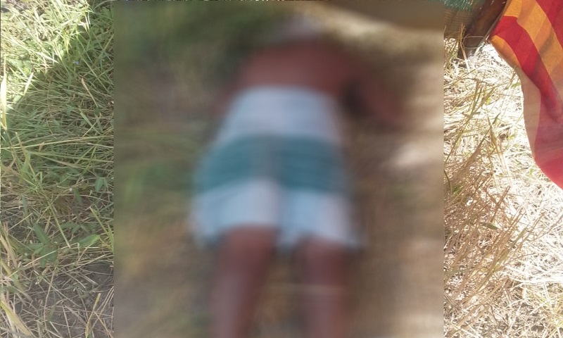 wrf